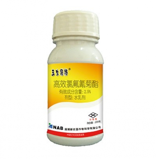 玉蟲(chóng)搭檔