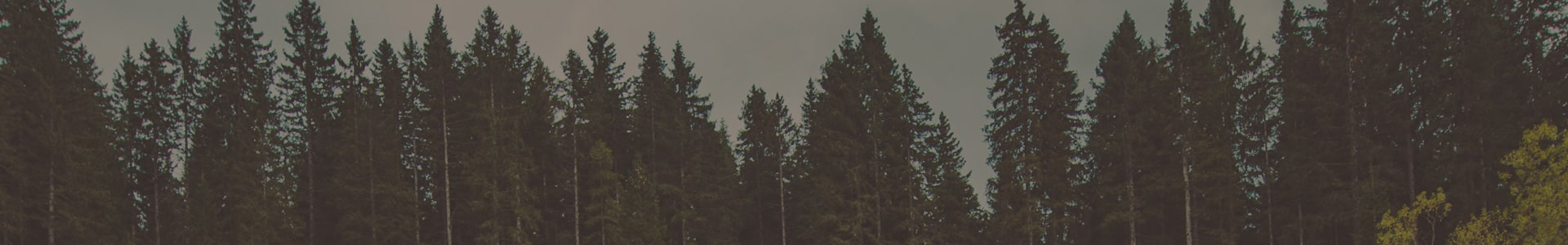 內(nèi)頁banner